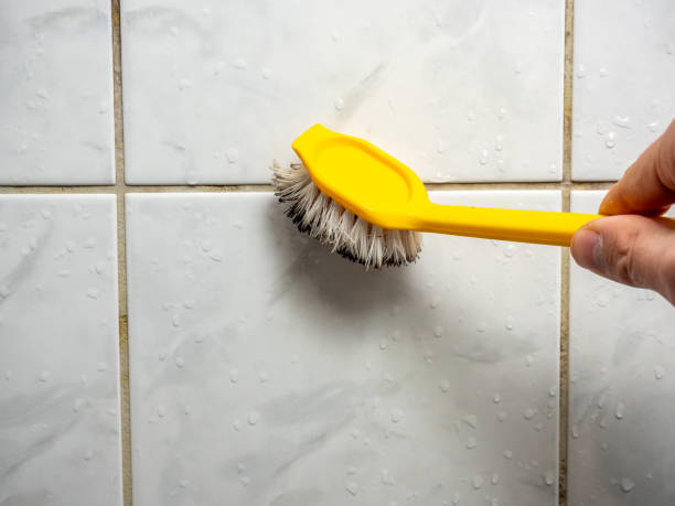 Best Emergency Mold Remediation in Manorville, NY